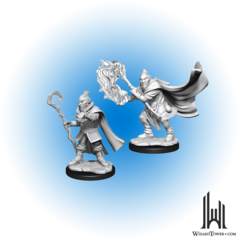 Critical Role Unpainted Miniatures: Hobgoblin Wizard / Druid Male